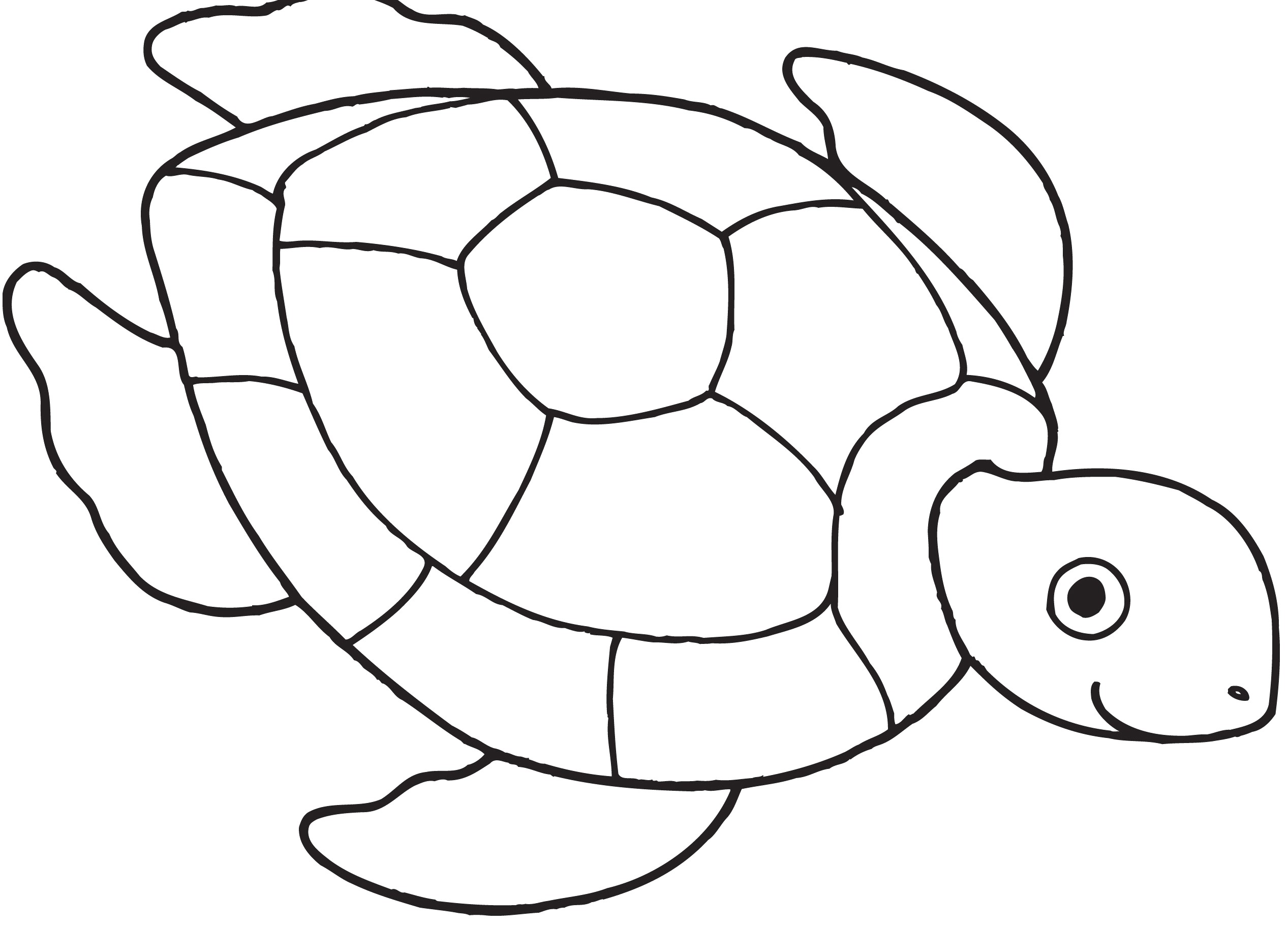 Turtle clipart black and white 3 » Clipart Station.