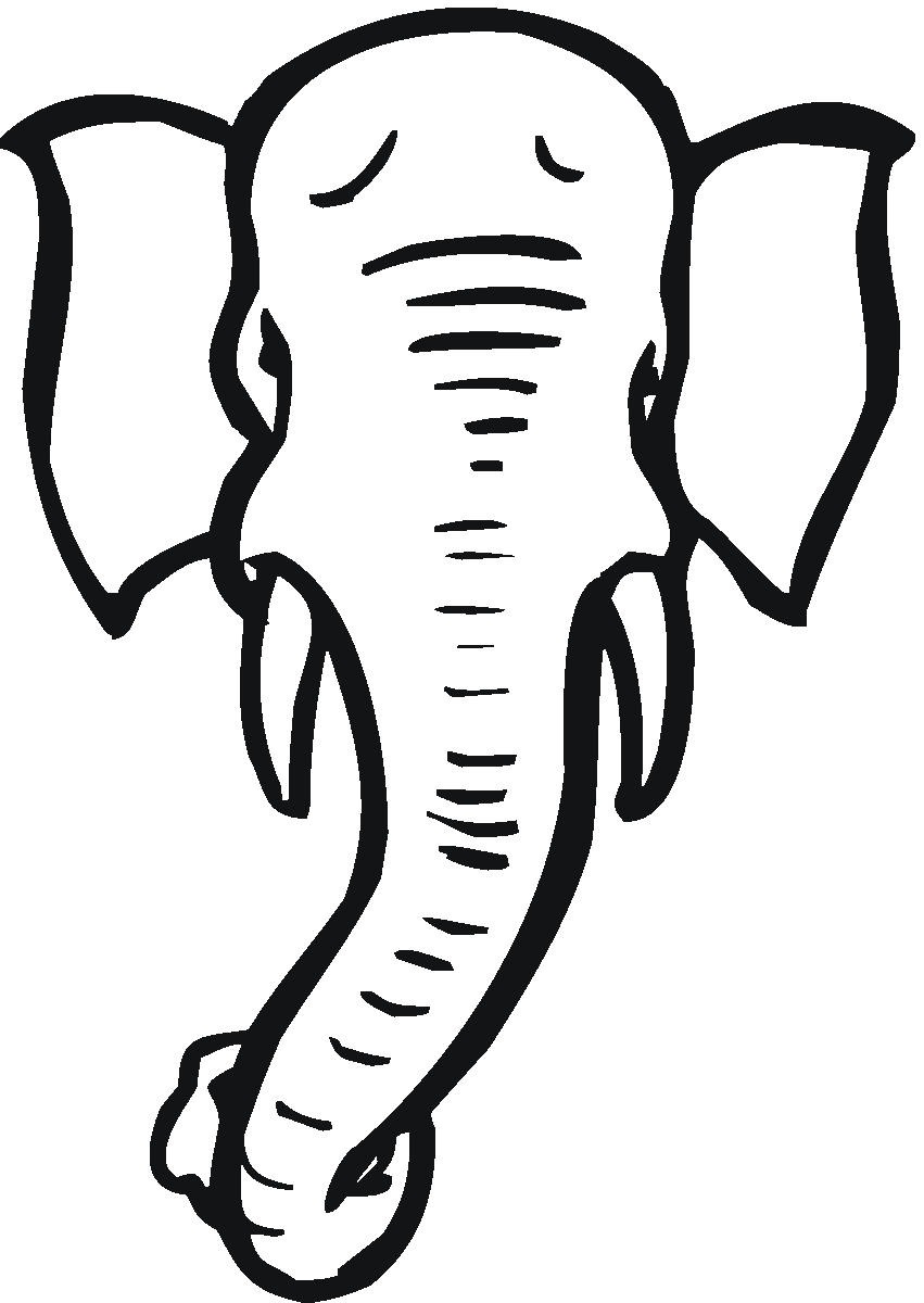 Tusks clipart 20 free Cliparts | Download images on Clipground 2024