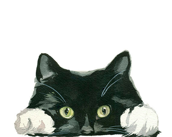 Tuxedo cat clipart 20 free Cliparts | Download images on Clipground 2020