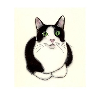 Tuxedo Cat Cliparts.