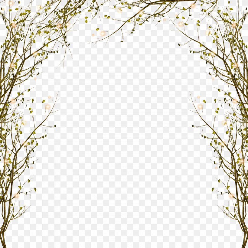 Tree Branch Clip Art, PNG, 3600x3600px, Picture Frames, Area.