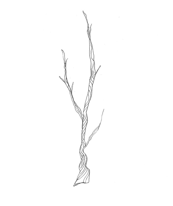 Twig Clipart; hand drawn dividers to decorate your blog or books.