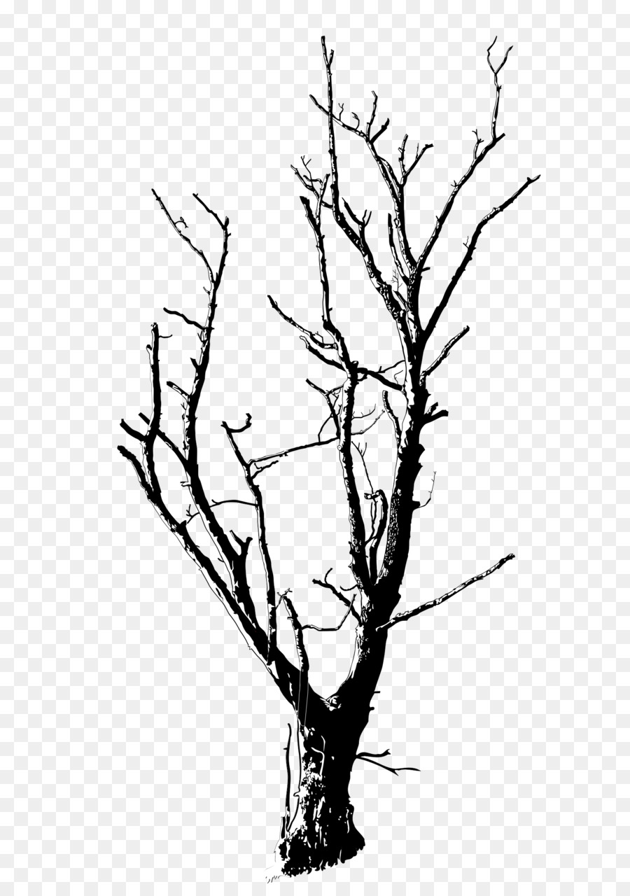 twigs clip art 10 free Cliparts | Download images on Clipground 2024