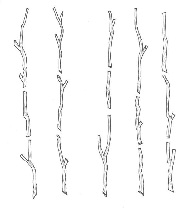 Twigs Clipart.