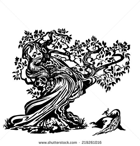 Twisted Tree Stock Images, Royalty.