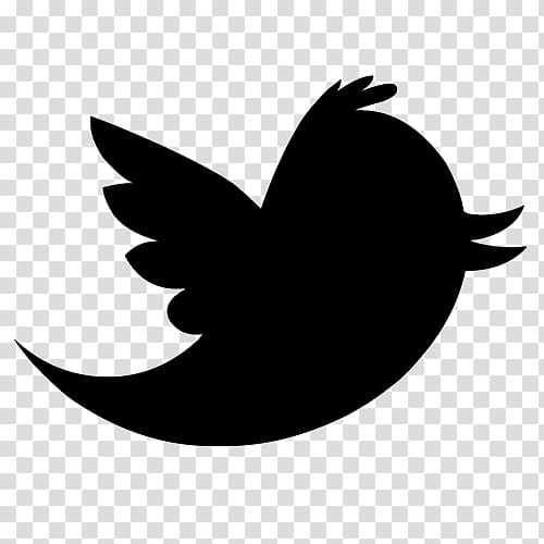 Bird Logo Euclidean Icon, Twitter Background transparent.