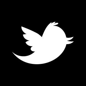 Twitter logo is named after basketball star Larry Bird.