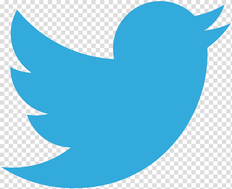 New Twitter Logo, blue and white logo screenshot transparent.