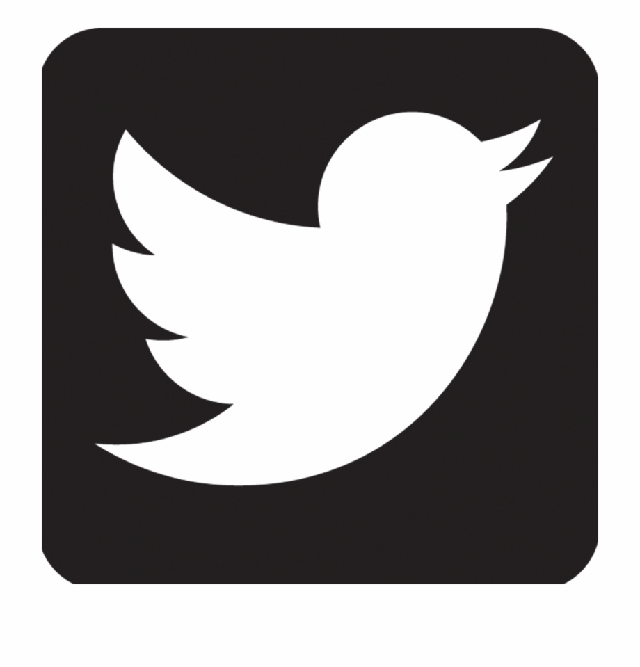 Twitter Vector Png 10 Free Cliparts Download Images On Clipground 2022