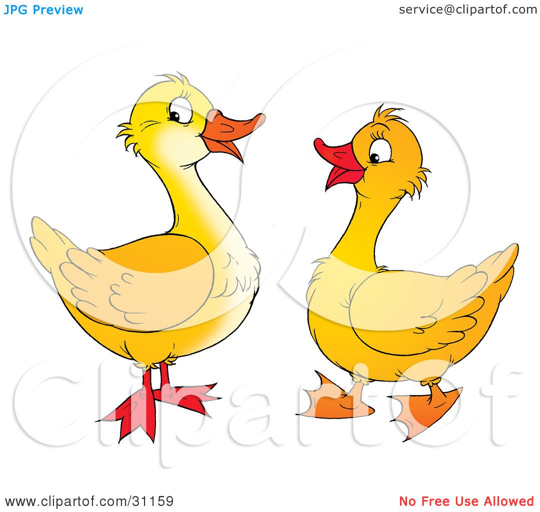 Clipart Illustration of Two Talkative Yellow Ducks Chatting by.