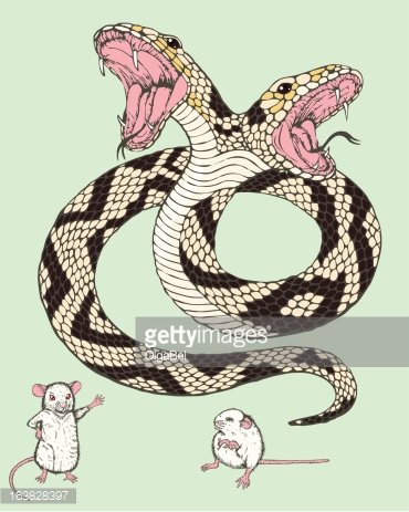 Twohead snake and two mice Clipart Image.