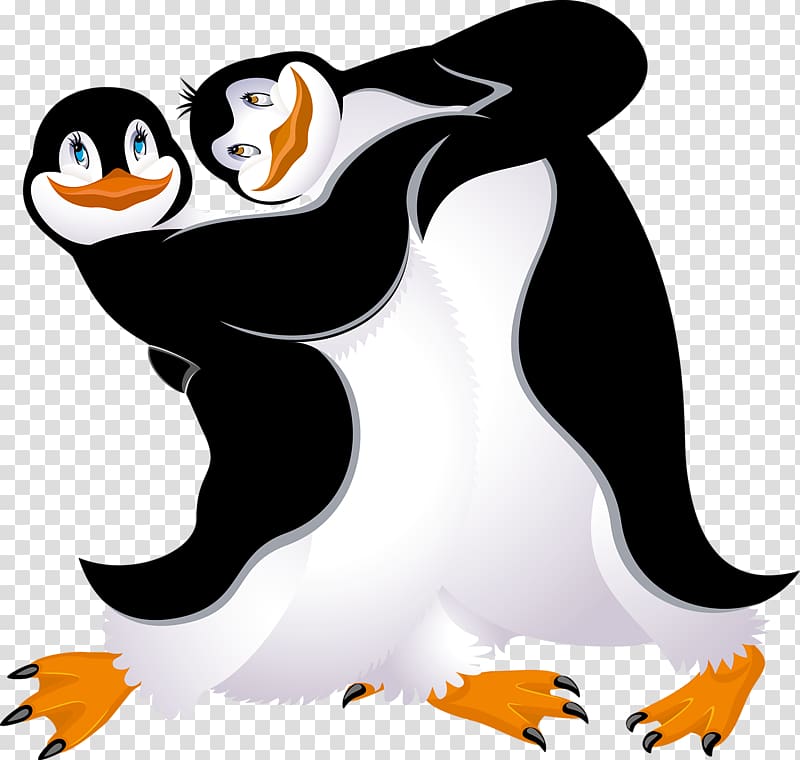 Penguin Bird Dance, Two penguins transparent background PNG.