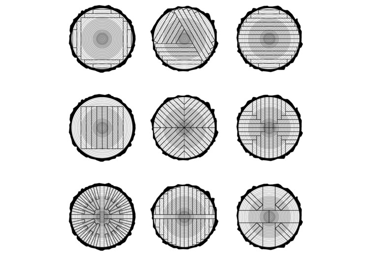 How Tree Trunks Are Cut to Produce Wood With Different.