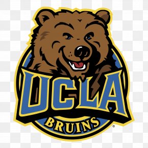 University Of California, Los Angeles UCLA Bruins Football.