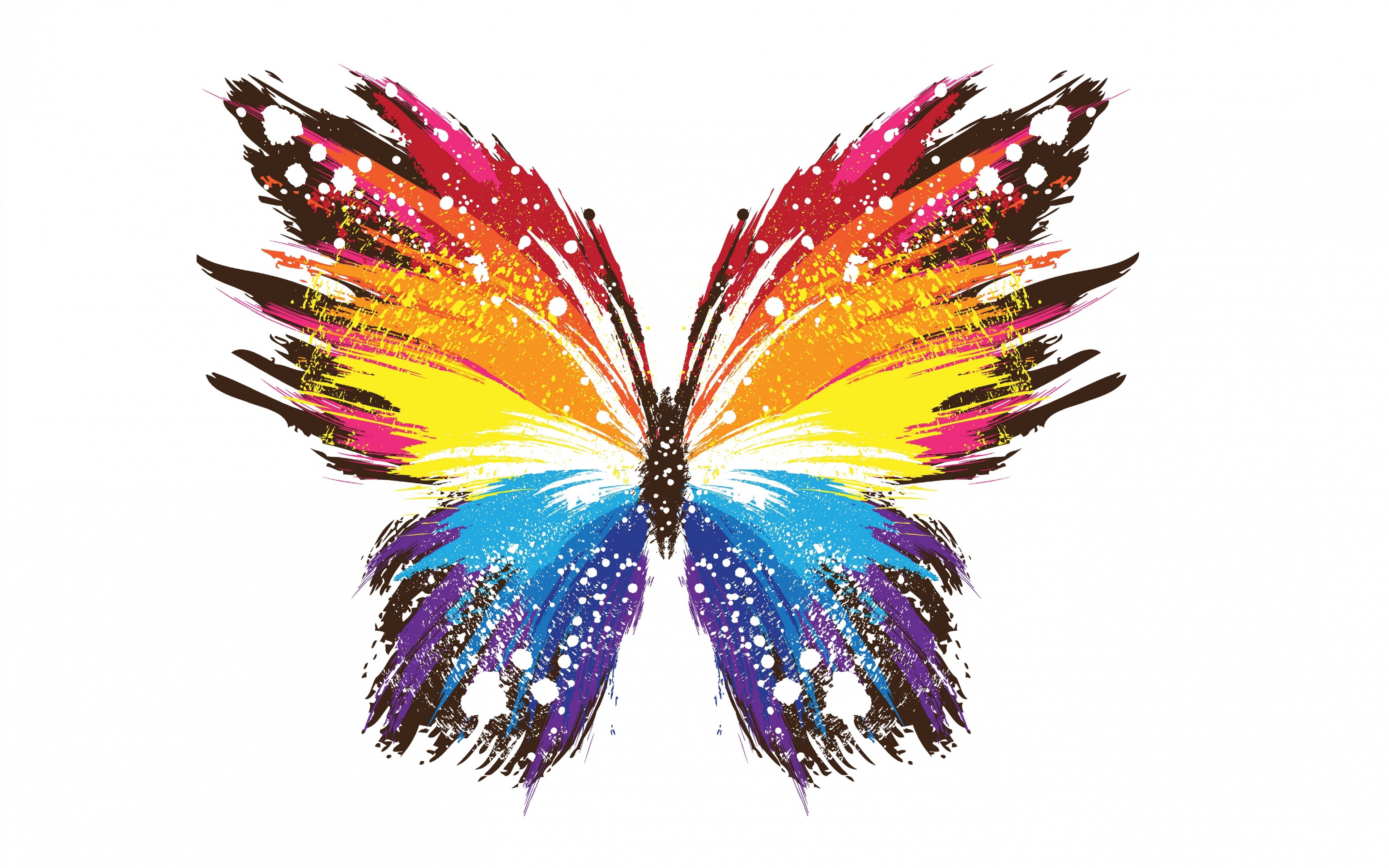 Butterfly Ultra Hd Images Clipart.