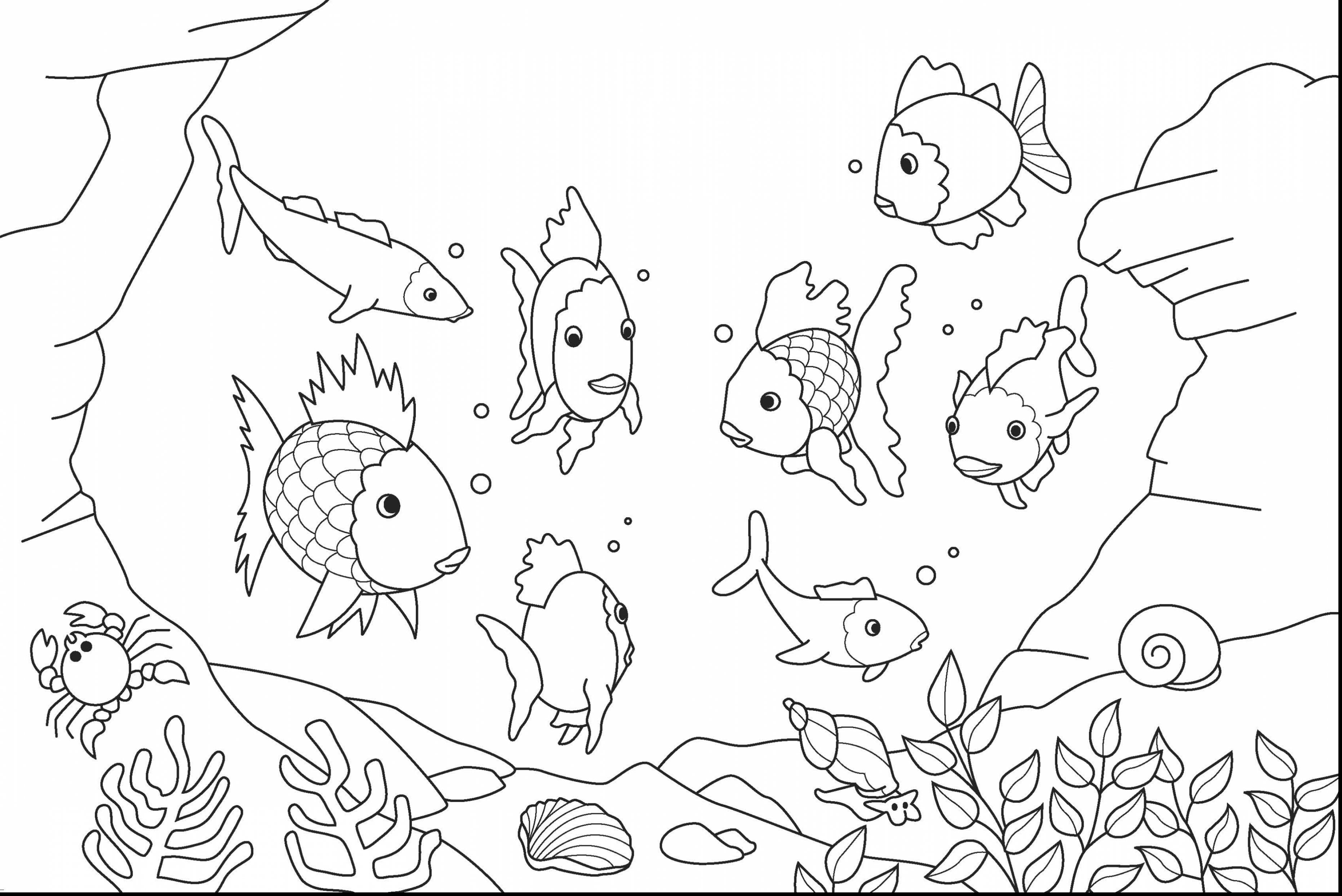 Under The Sea Fish Coloring Pages.