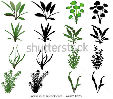 underwater flowers clipart 20 free Cliparts | Download images on