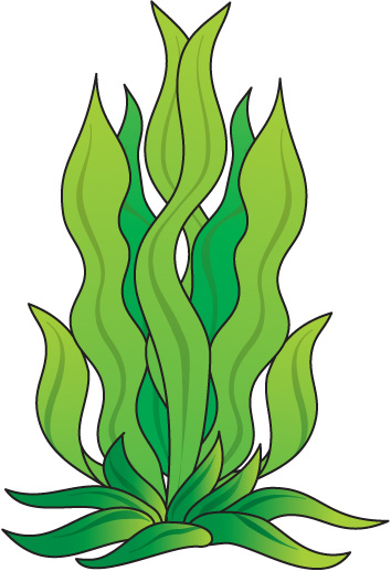 underwater plants clipart 20 free Cliparts | Download images on ...