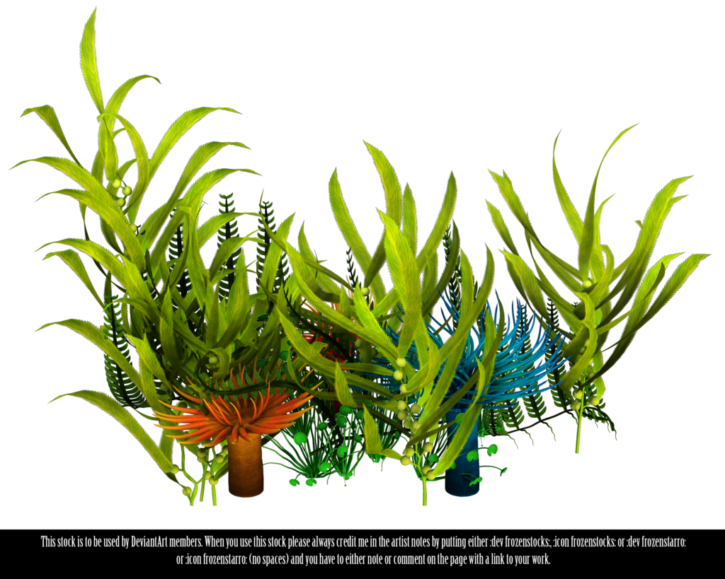underwater plants clipart 20 free Cliparts | Download images on