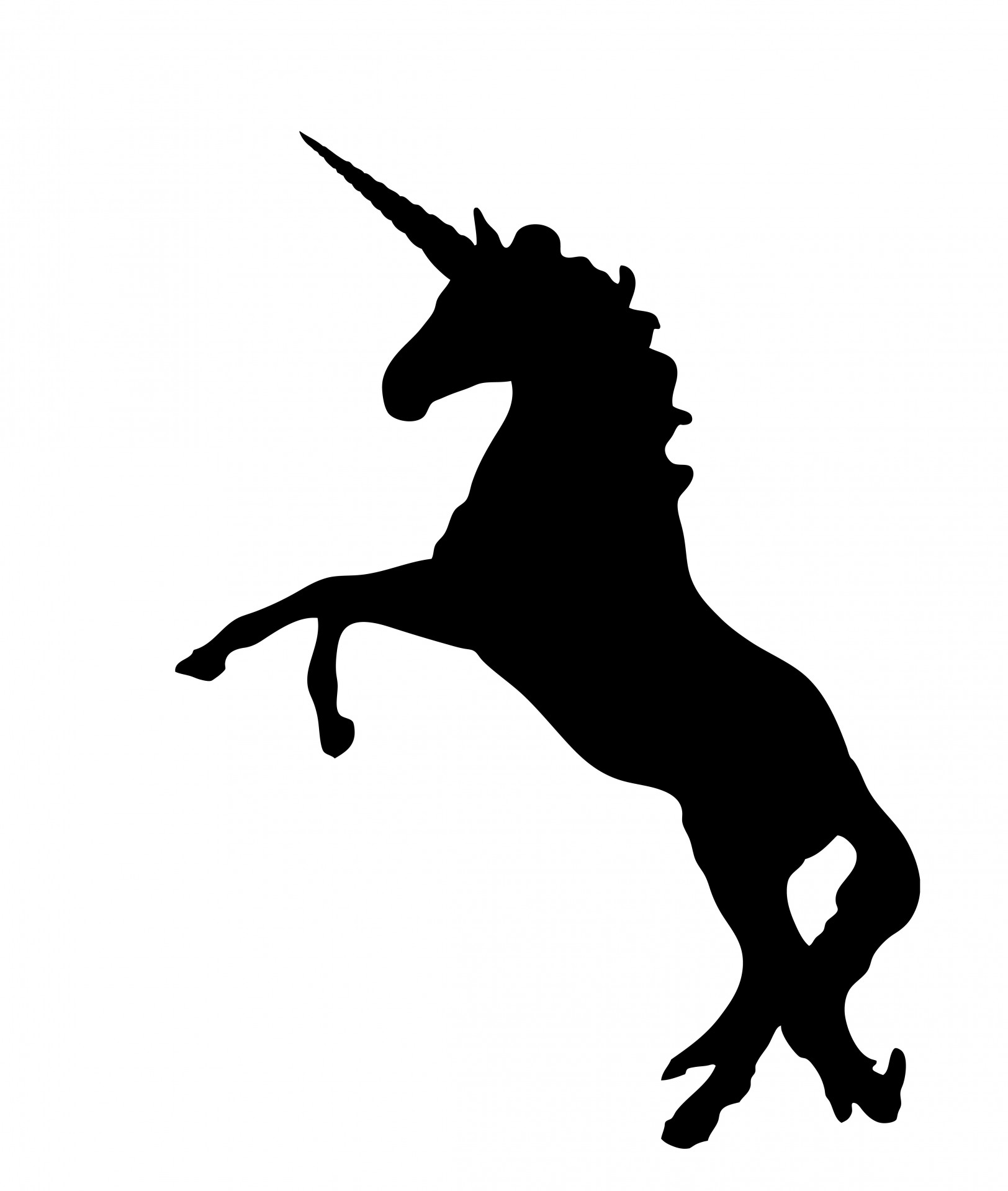 Unicorn,horse,mythical,animal,black.