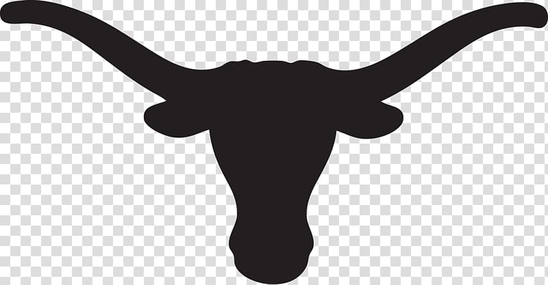 Texas Longhorns logo illustration, Texas Longhorns football.