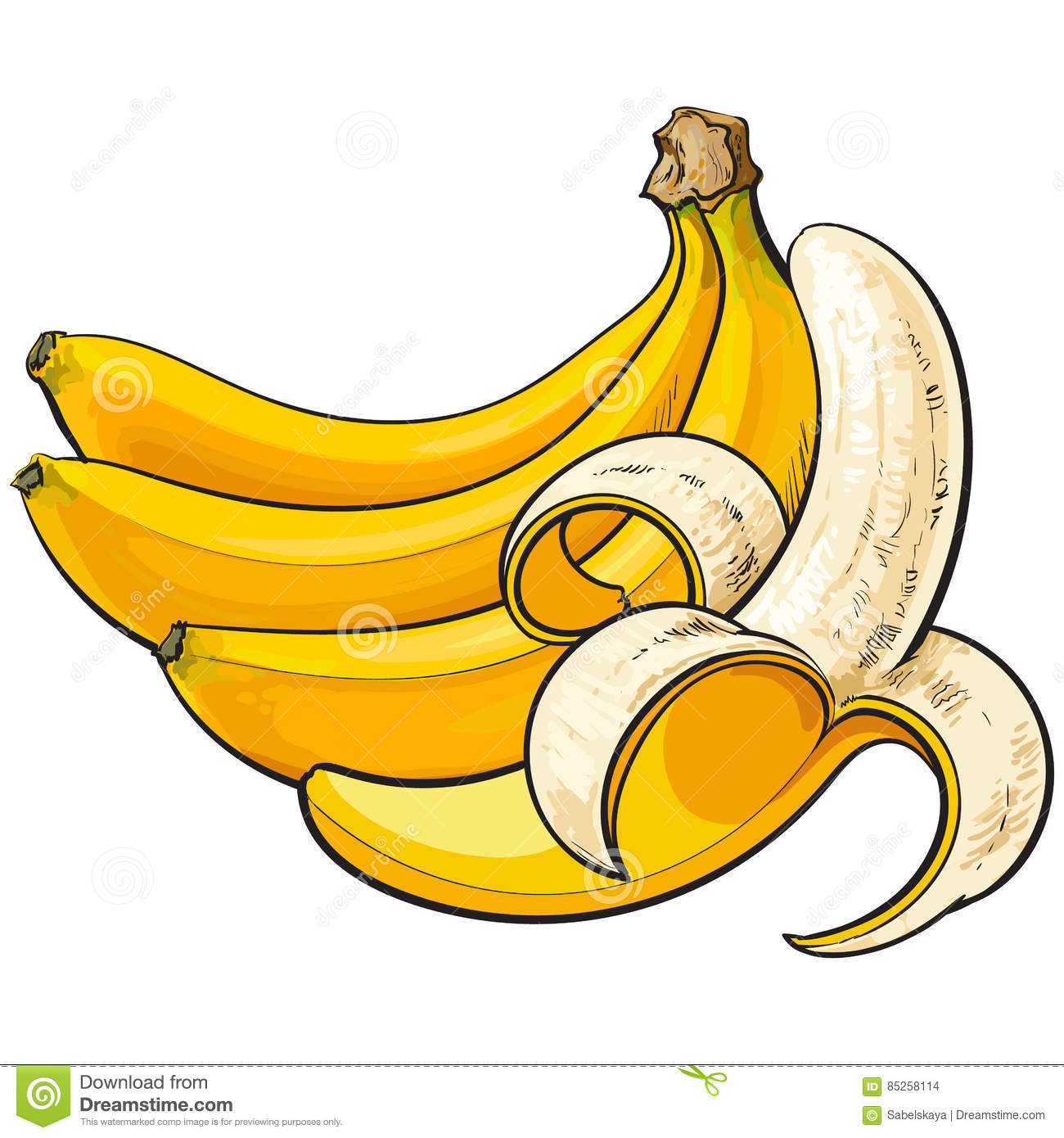 Two Ripe Bananas, One Open, Another Unopened And Unpeeled Stock.