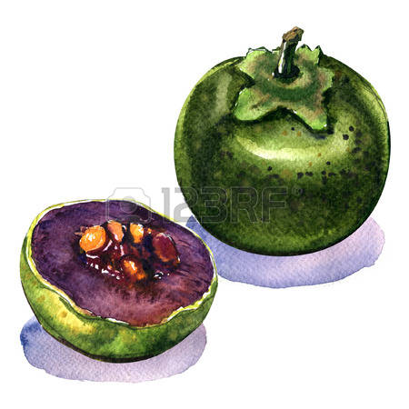 271 Unripe Fruit Stock Vector Illustration And Royalty Free Unripe.