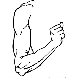 Arm Clip Art.