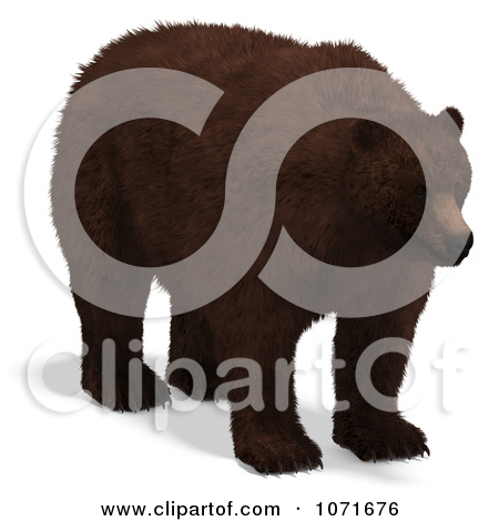 Clipart 3d Ursus Arctos Brown Bear Roaring.