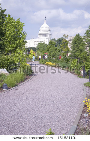 Capitol Building Washington Dc Stock Photos, Royalty.