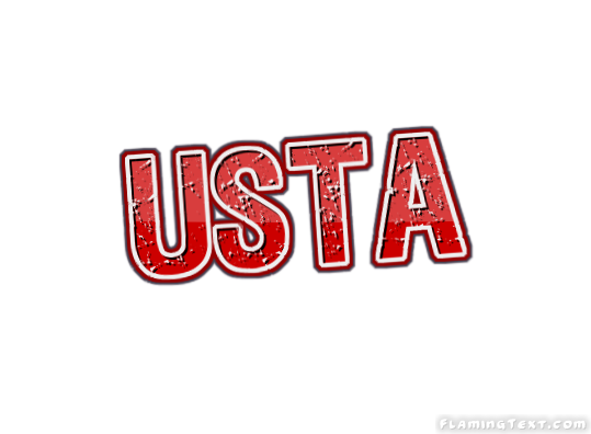 United States of America Logo.