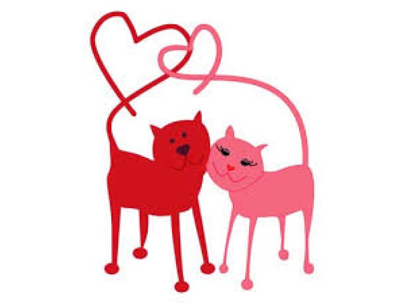 Valentine Cat Clipart 10 Free Cliparts Download Images On Clipground 2024 