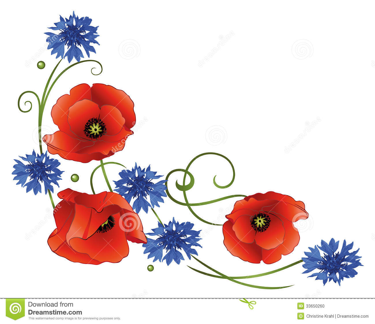 Flowers, Poppies, Cornflowers Stock Photo. Flowers, Poppies, Cornflowers Stock Photo.