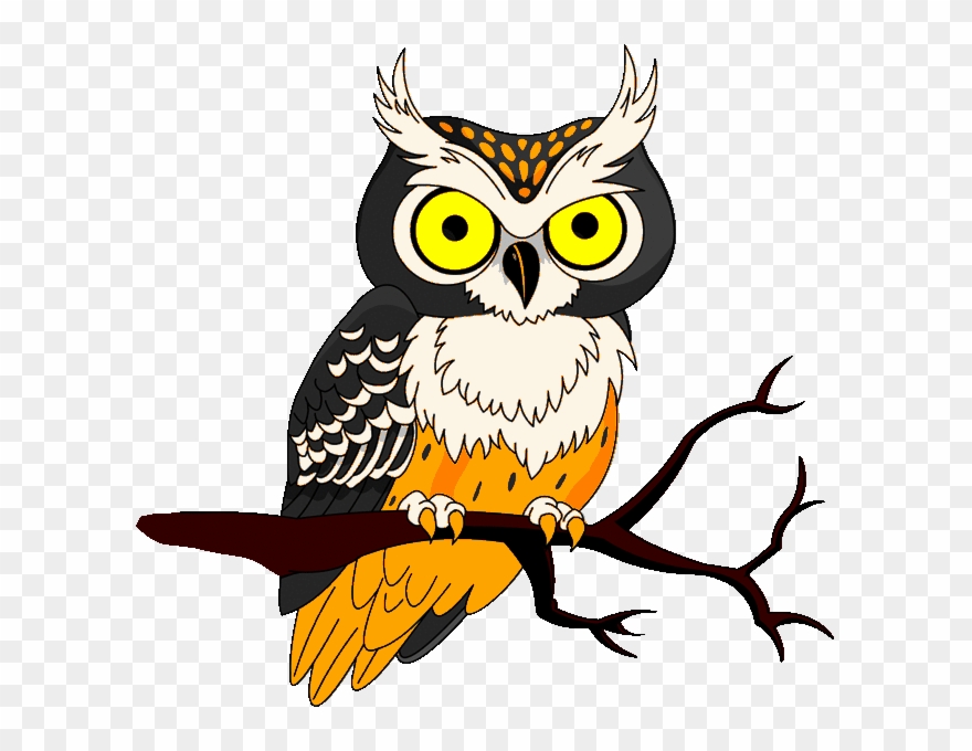 Halloween Owl Clipart 633 X 600 42964 Bytes.