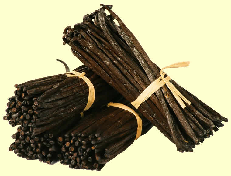 Buy Gourmet Vanilla Beans from Papua New Guinea PNG.