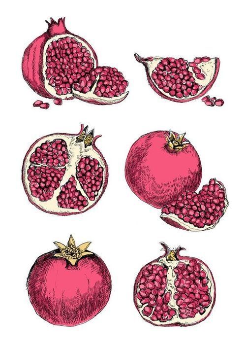 Vanilla pomegranate clipart clipart images gallery for free.