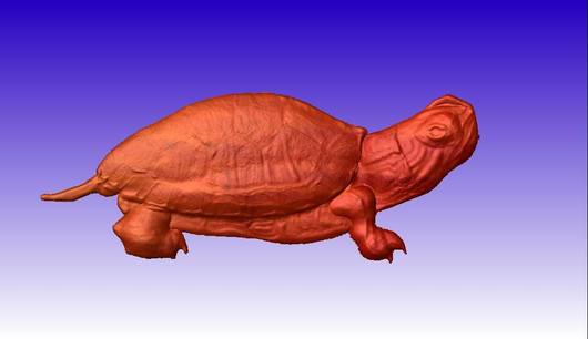 Turtle Vector Relief Model 3D Clipart.