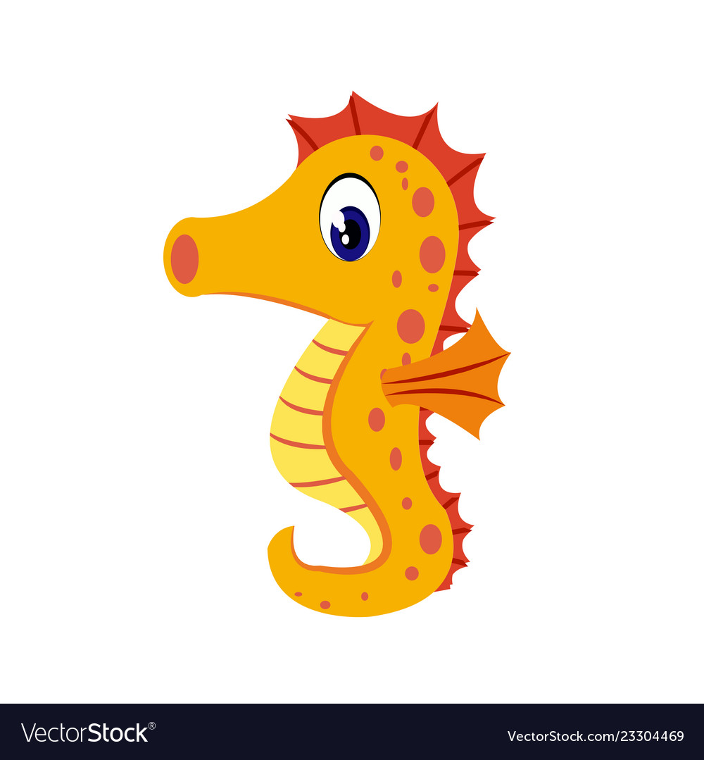 Seahorse cartoon or seahorse clipart cartoon.