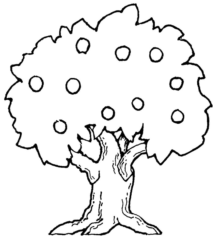 Tree Silhouettes, Vectors, Clipart, Svg.