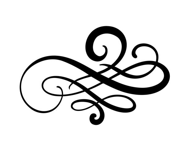 Vector floral calligraphy element flourish, divider for page.