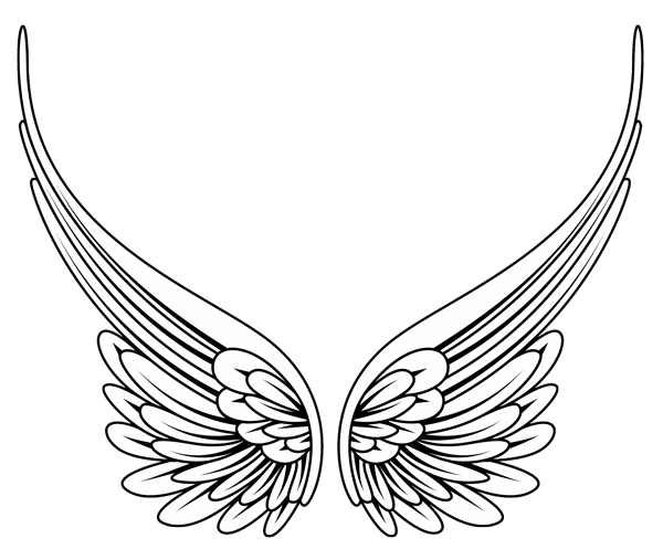 angel wings twelve sets of black and white angel wings.