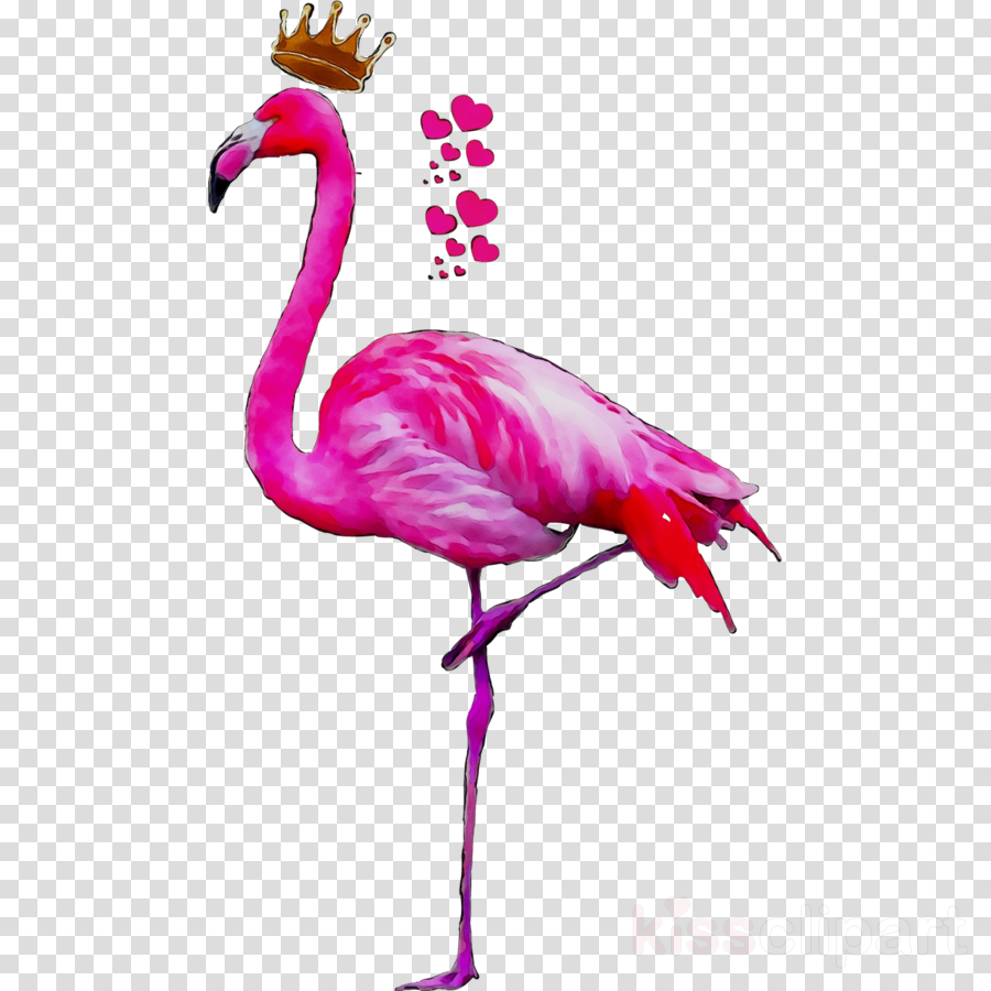 pink flamingo clipart