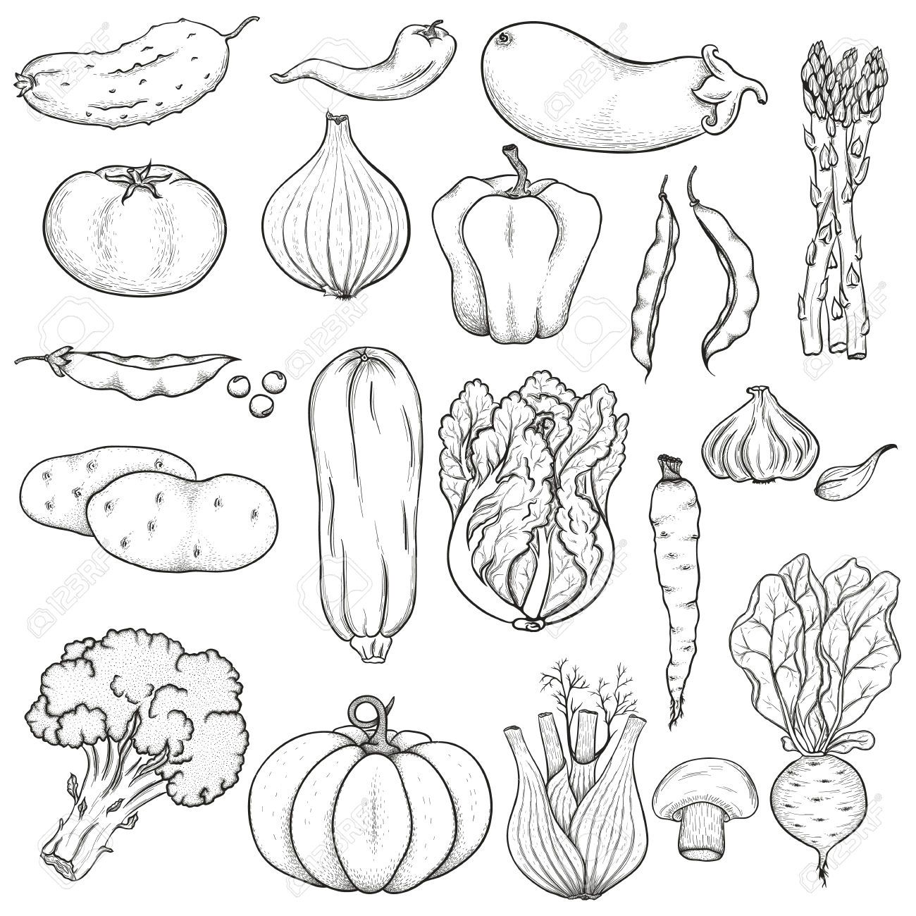 clipart vegetables black and white.