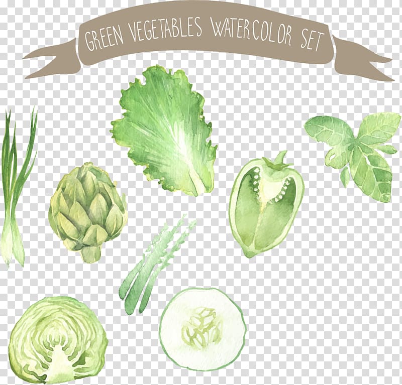 Green veggies , Watercolor painting Vegetable Drawing.