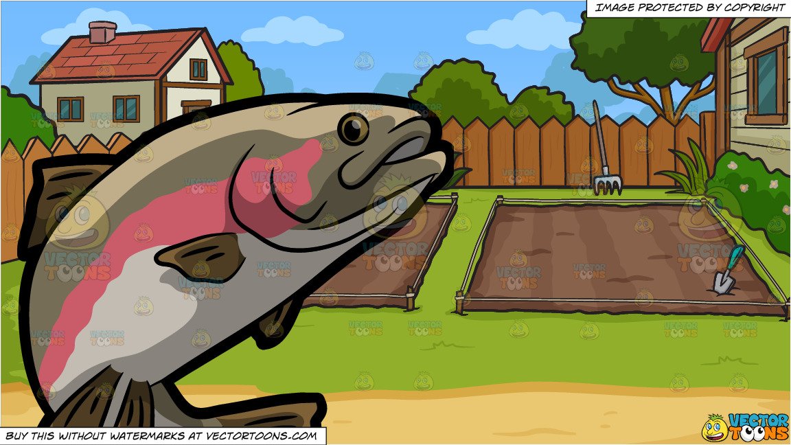 A Rainbow Trout and Empty Backyard Vegetable Garden Background.