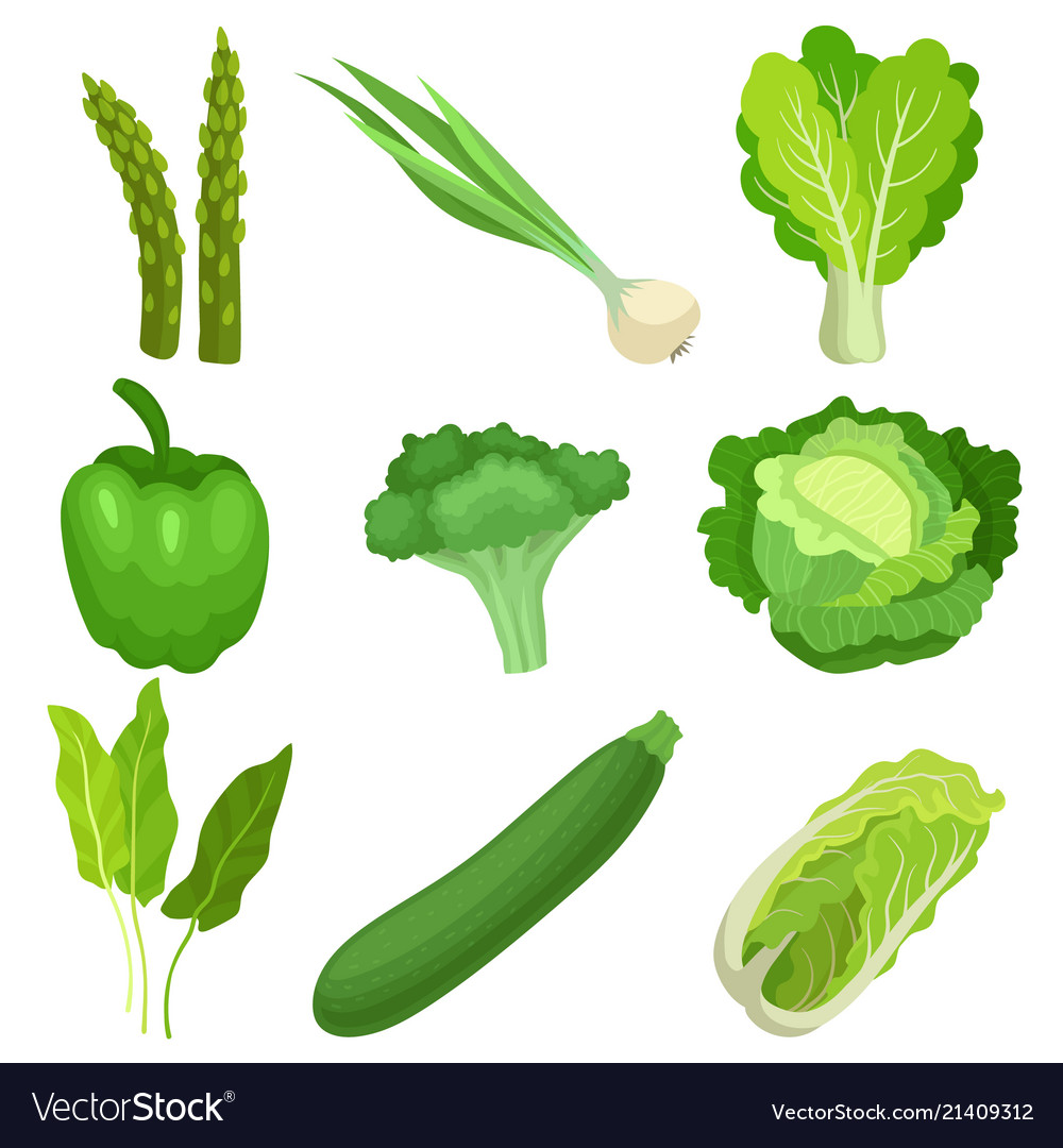 Flat set of fresh green garden vegetables.