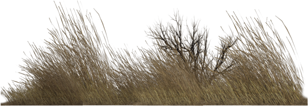 Download Dry Grass Png.
