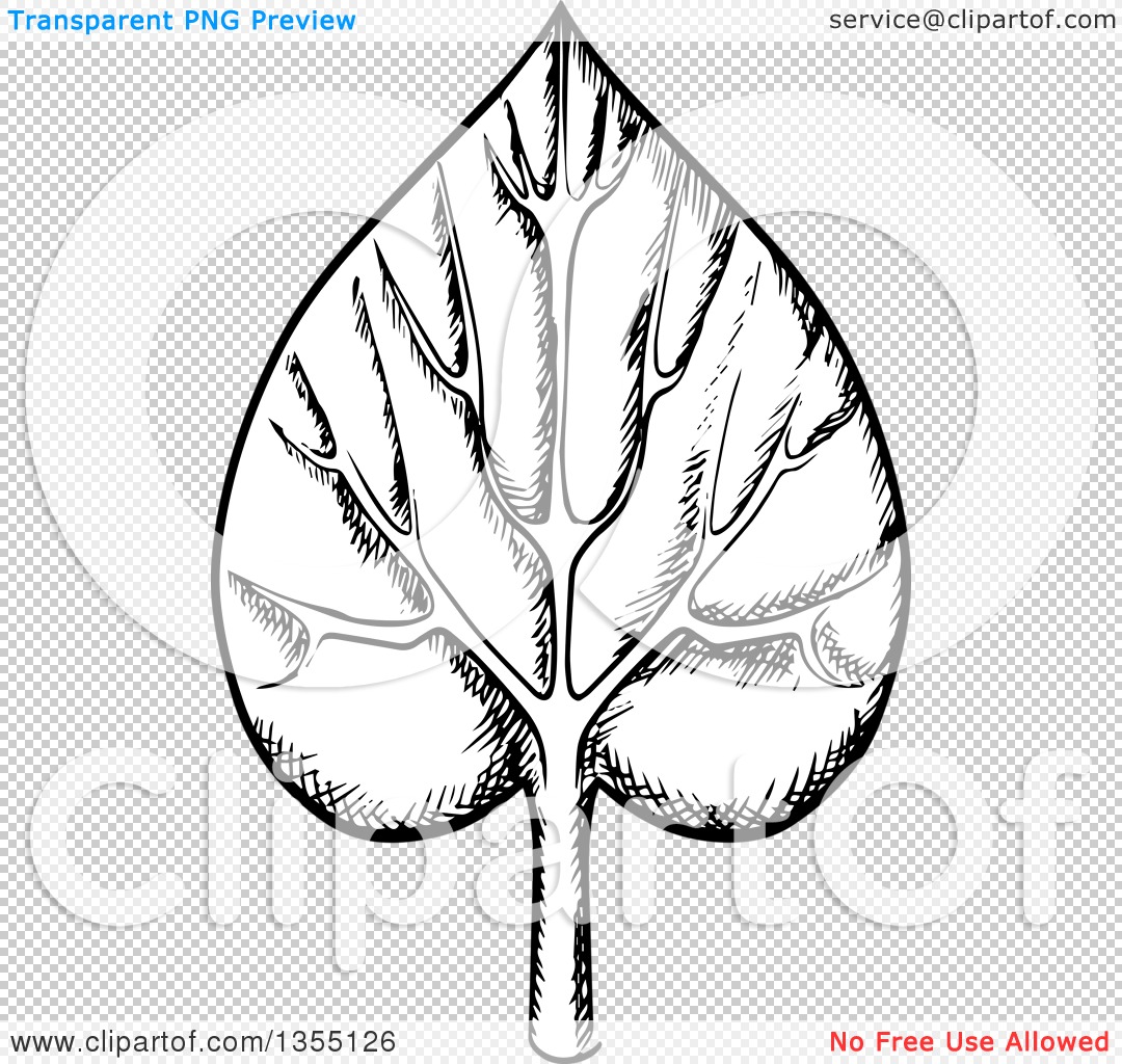 Clipart of a Black and White Sketched Veined Leaf.