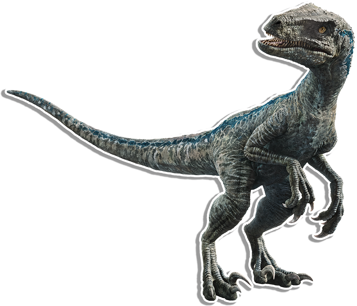 Velociraptor Png 10 Free Cliparts Download Images On Clipground 2023 