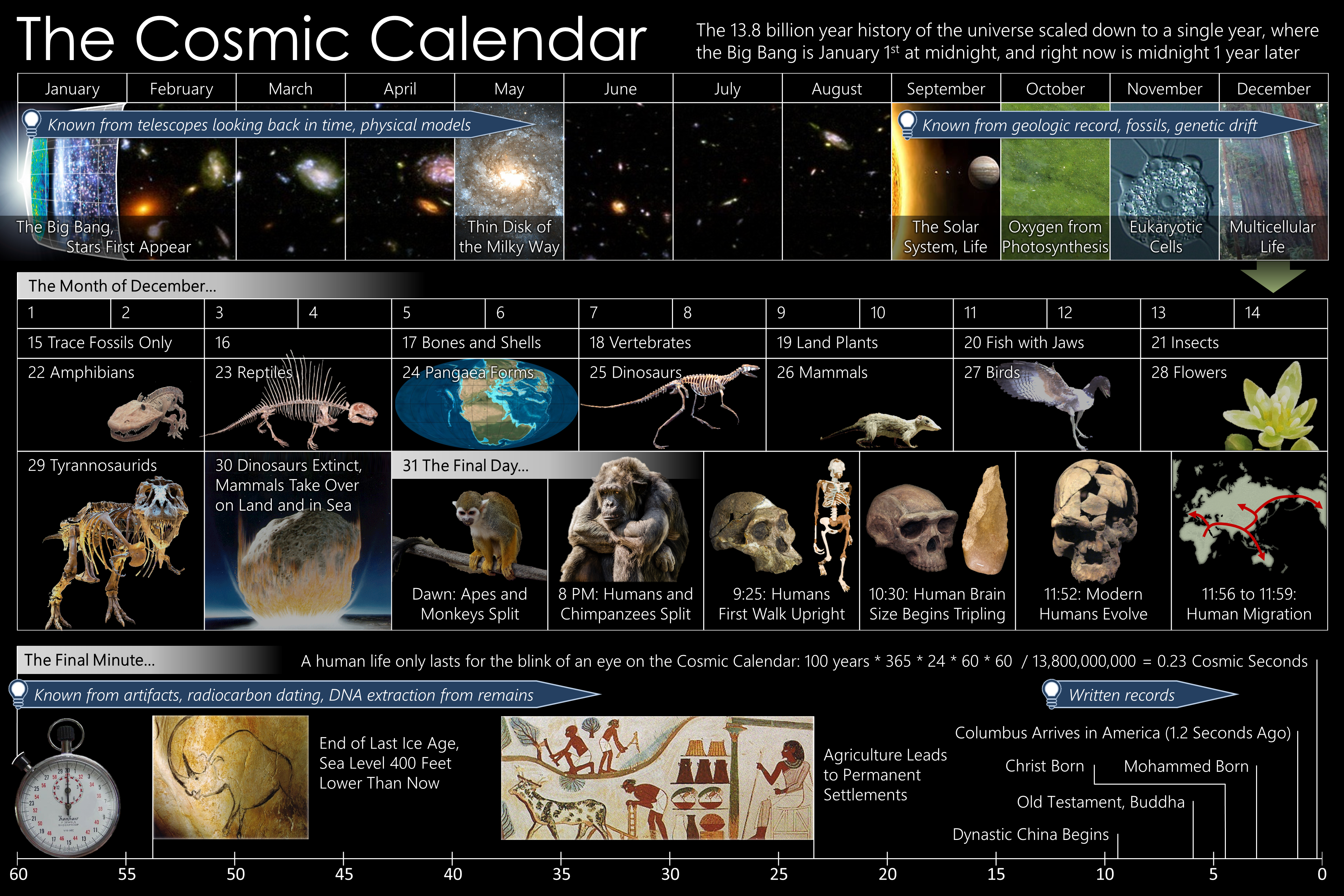 Archivo:Cosmic Calendar.png.